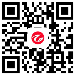 上海泰正化工有限公司